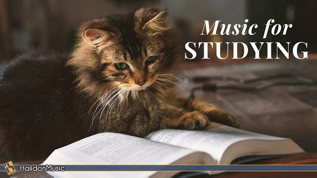 Classical music for studying & brain power | mozart, vivaldi, tchaikovsky... Classical music for studying & brain power | mozart, vivaldi, tchaikovsky...
