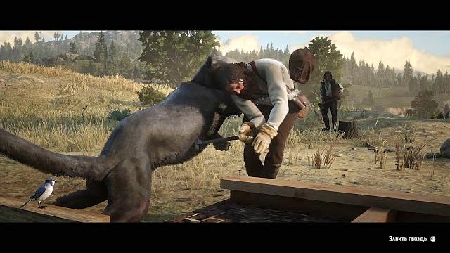 Rdr2 - cougar prevents john from building a house Rdr2 - cougar prevents john from building a house
