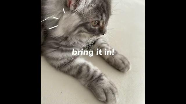 Hug me babygrey Hug me babygrey
