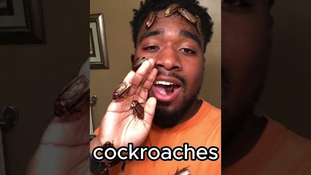 Never kill cockroaches Never kill cockroaches