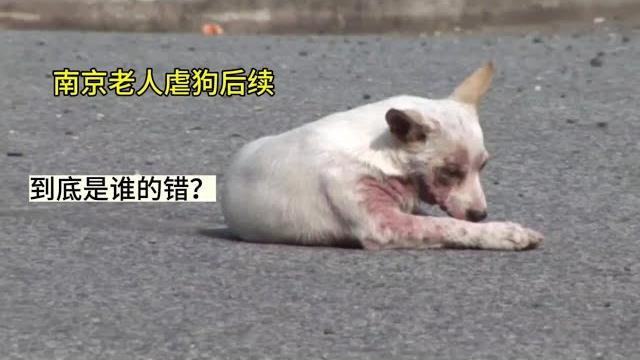 南京老人虐杀三狗后续,到底是老人太残忍,还是媳妇不孝顺? 南京老人虐杀三狗后续,到底是老人太残忍,还是媳妇不孝顺?