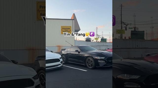 Mustang x2 #mustang #mustanggt #bros #brother #carmeet #v8 #carguy #musclecar #sportscar #fast Mustang x2 #mustang #mustanggt #bros #brother #carmeet #v8 #carguy #musclecar #sportscar #fast