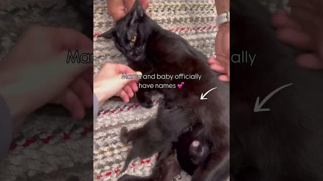 Mama and baby have names! Mama and baby have names!