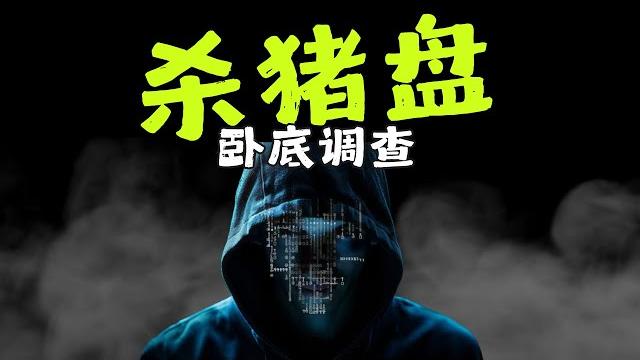 假装猎物2个月,我整理了杀猪盘完整的精神操控术!!! 假装猎物2个月,我整理了杀猪盘完整的精神操控术!!!