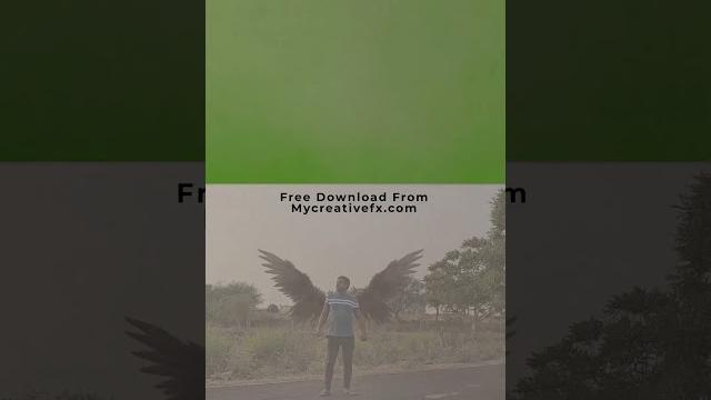 Green screen funny vfx Green screen funny vfx