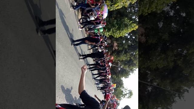 Karnaval Karnaval