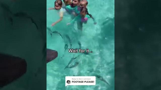 A little girl got bitten by a shark A little girl got bitten by a shark