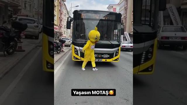Malatya beni özlemiş (abone ol) #cityorganizasyon #fyp #youtube #shorts #fenomencivciv #halay Malatya beni özlemiş (abone ol) #cityorganizasyon #fyp #youtube #shorts #fenomencivciv #halay