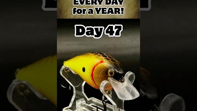 Day 47 - custom lure painting - one year challenge #baitmaking #handmadelure #fishing #diy #howto Day 47 - custom lure painting - one year challenge #baitmaking #handmadelure #fishing #diy #howto