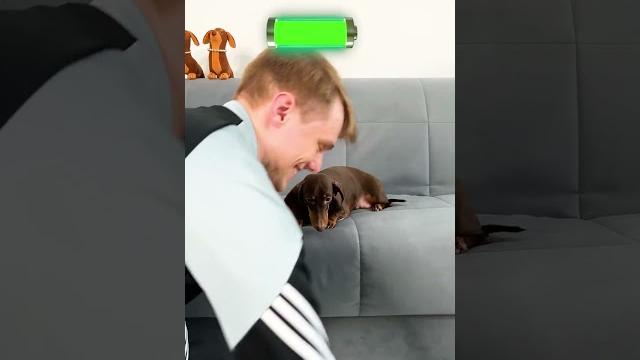Сердечку больно стало...не поступайте так Сердечку больно стало...не поступайте так