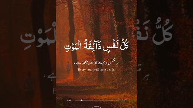 Tilawat quran| best tilawat with beautiful voice Tilawat quran| best tilawat with beautiful voice