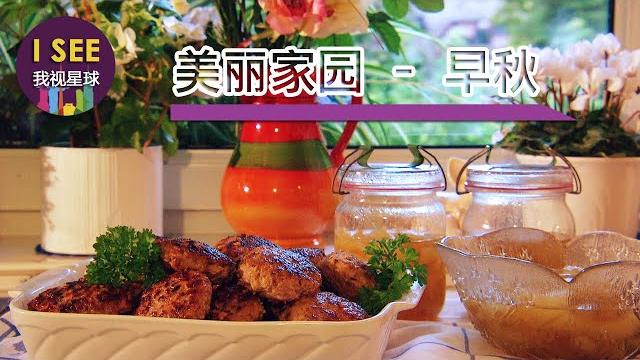 德國主婦做的好吃的醃黃瓜 修露台上的木地板 奶奶自己做的絞肉餅真好吃 - #美丽家园早秋(3) 德國主婦做的好吃的醃黃瓜 修露台上的木地板 奶奶自己做的絞肉餅真好吃 - #美丽家园早秋(3)