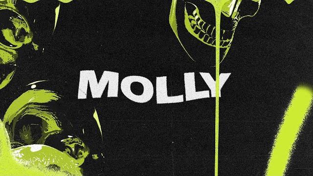 Cedric gervais x joel corry - molly Cedric gervais x joel corry - molly