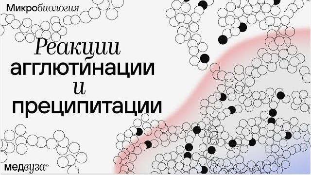 Реакция агглютинации и преципитации | иммунология Реакция агглютинации и преципитации | иммунология