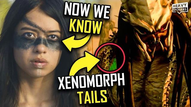 Predator killer of killers (2025) breakdown | ending explained, easter eggs, credits scene & review Predator killer of killers (2025) breakdown | ending explained, easter eggs, credits scene & review