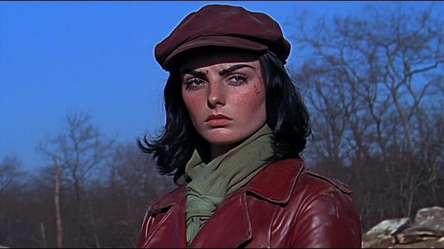 Fallout 4 – 1970s post-nuclear adventure film Fallout 4 – 1970s post-nuclear adventure film