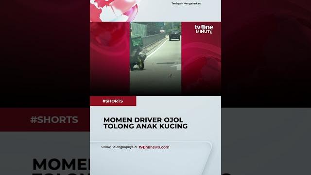 Salut! driver ojol tolong anak kucing yang berkeliaran di jalan #shorts #tvone #ojol #catlover Salut! driver ojol tolong anak kucing yang berkeliaran di jalan #shorts #tvone #ojol #catlover