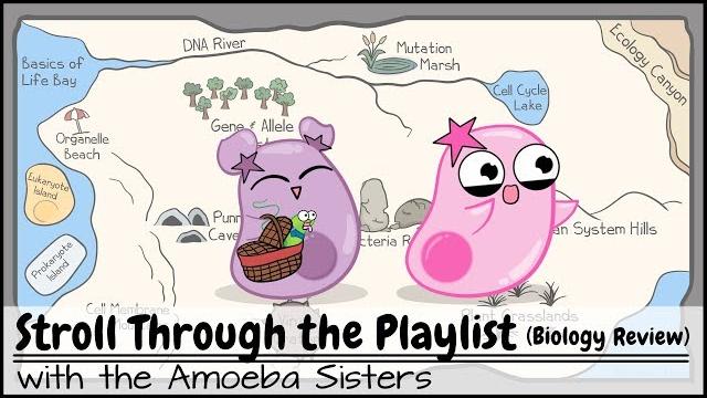 Stroll through the playlist (a biology review) Stroll through the playlist (a biology review)