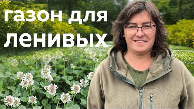 Газон для ленивых. Газон для ленивых.