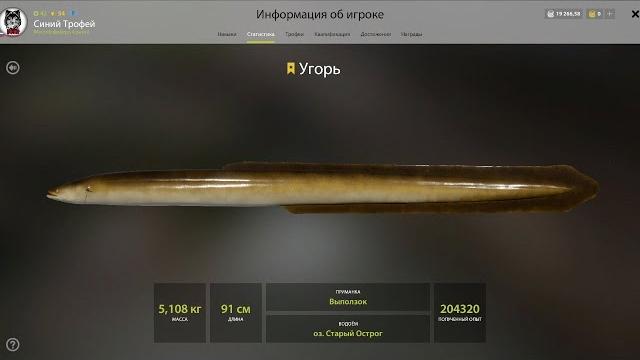 Русская рыбалка 4. рр4. оз. старый острог. угорь 23-67, лещ. турниры для интереса) и помучаем носаря Русская рыбалка 4. рр4. оз. старый острог. угорь 23-67, лещ. турниры для интереса) и помучаем носаря