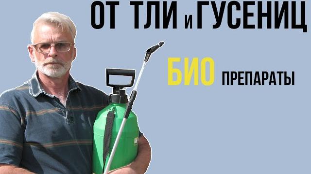 Баковая смесь биопрепаратов от насекомых вредителей / бтб + лепидоцид + липосам / игорь билевич Баковая смесь биопрепаратов от насекомых вредителей / бтб + лепидоцид + липосам / игорь билевич