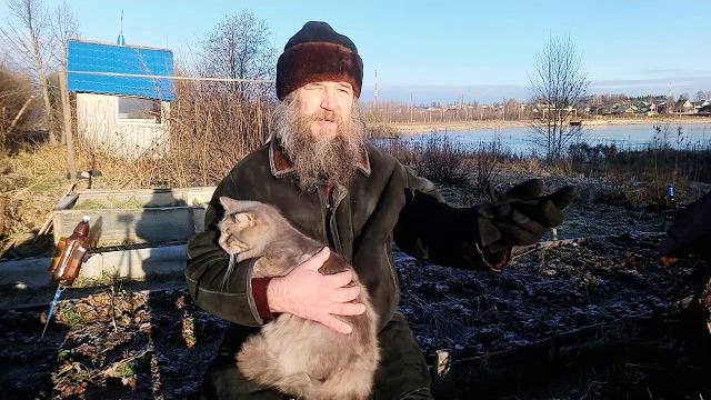 Куда уходит душа животных (следите за котом) Куда уходит душа животных (следите за котом)