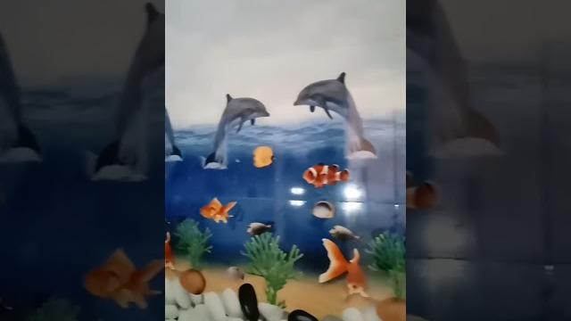 Fish tile in, bathroom vk marble Fish tile in, bathroom vk marble