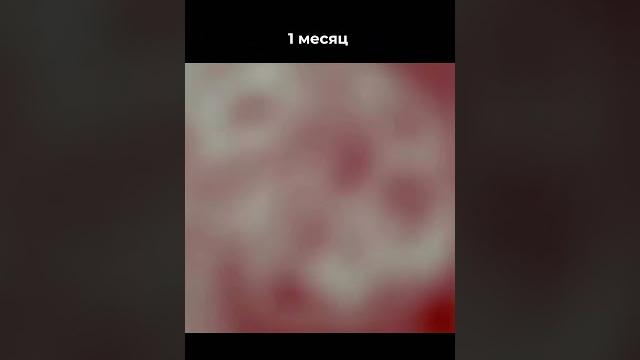 Как видят новорожденные дети? Как видят новорожденные дети?