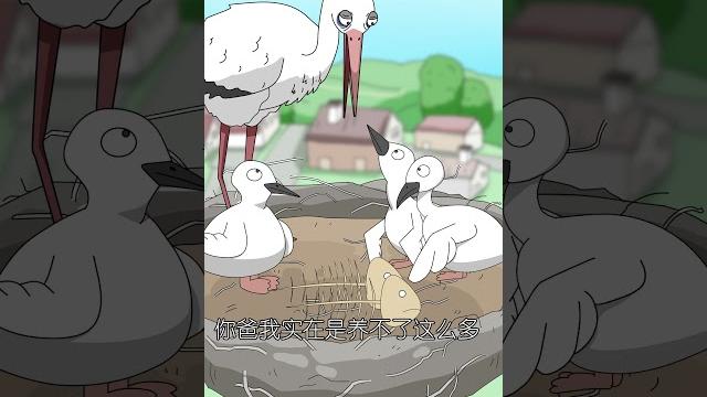 这白鹳压力一大就扔孩子……#白鹳 这白鹳压力一大就扔孩子……#白鹳