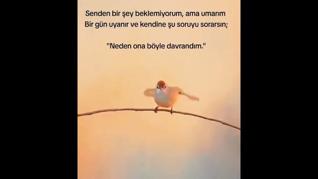 En güzel anlamlı sözler En güzel anlamlı sözler