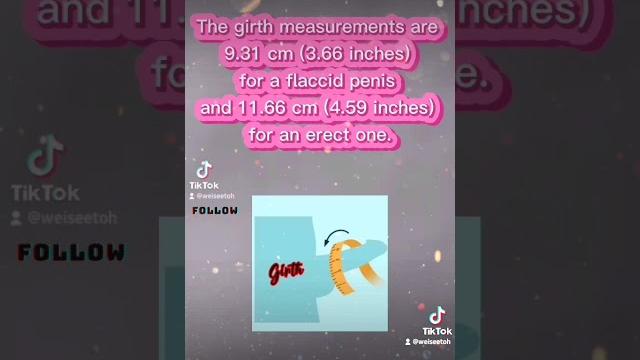 What is the average penis size? What is the average penis size?