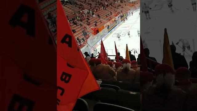 Амур-акбарс Амур-акбарс
