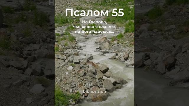 Псалом 55, стихи 11-14 #shorts #biblevision Псалом 55, стихи 11-14 #shorts #biblevision