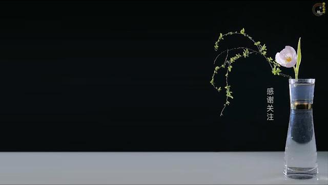 跟倪誌翔老師學插花 6 ni zhixiang 插花藝術 插花大師 ikebana 跟倪誌翔老師學插花 6 ni zhixiang 插花藝術 插花大師 ikebana
