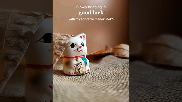 Good luck maneki neko #manekineko #japan #japantravel #japantrip #japanculture #japancat #fyp Good luck maneki neko #manekineko #japan #japantravel #japantrip #japanculture #japancat #fyp