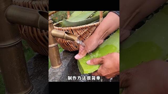 芦荟胶的宝藏的做法,30秒就能学会 古法护肤 芦荟胶 大自然的馈赠 芦荟胶的宝藏的做法,30秒就能学会 古法护肤 芦荟胶 大自然的馈赠
