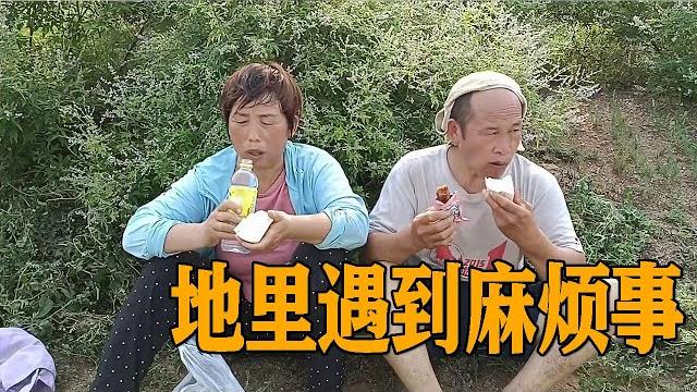 大雨过后地里遇上麻烦事,夫妻俩累的汗流浃背,饿了蹲地头啃馒头【农村傻大妮儿】 大雨过后地里遇上麻烦事,夫妻俩累的汗流浃背,饿了蹲地头啃馒头【农村傻大妮儿】