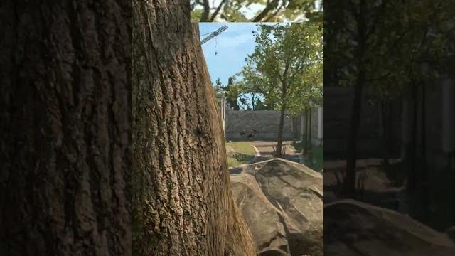 Flash kill in cs2 #csgo #cs2 #shorts Flash kill in cs2 #csgo #cs2 #shorts