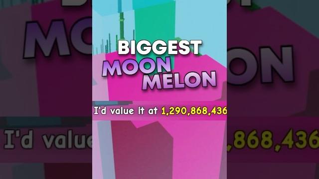 The biggest moon melon!?!?! #roblox #growagarden The biggest moon melon!?!?! #roblox #growagarden