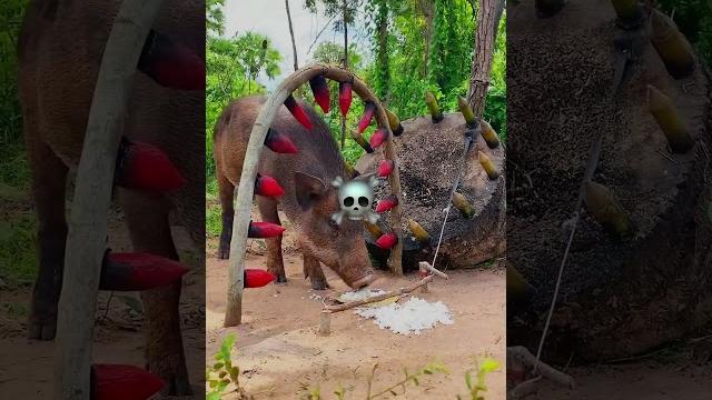 Best scary animal traps Best scary animal traps