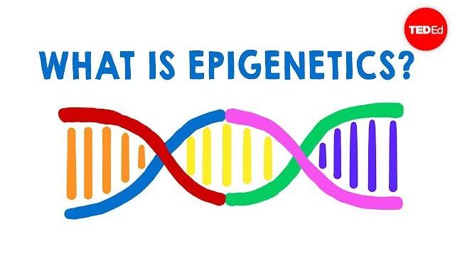 What is epigenetics? - carlos guerrero-bosagna What is epigenetics? - carlos guerrero-bosagna