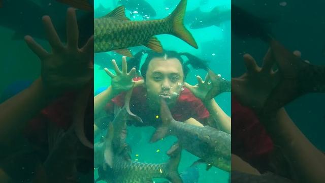 Tebak bego dimana ? Tebak bego dimana ?