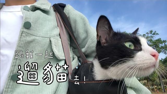 「遛貓」祕技大公開!跟我一起帶貓咪出門吧!(一些日常、回答問題、怎麼訓練貓咪穿遛貓衣、一個成功的案例分享) 「遛貓」祕技大公開!跟我一起帶貓咪出門吧!(一些日常、回答問題、怎麼訓練貓咪穿遛貓衣、一個成功的案例分享)