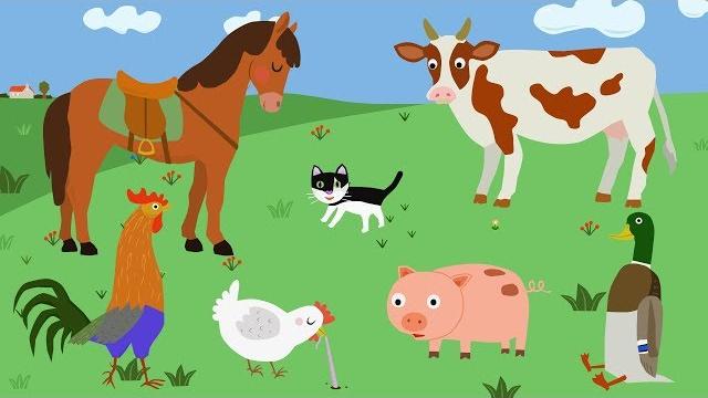 Pets on the farm. lessons from magpies Pets on the farm. lessons from magpies