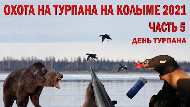 Охота на турпана на колыме 2021 часть 5. охота на уток в якутии hunting for velvet scoter on kolyma Охота на турпана на колыме 2021 часть 5. охота на уток в якутии hunting for velvet scoter on kolyma