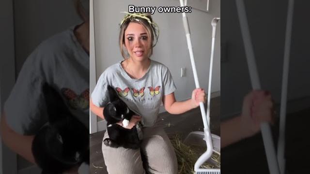 Bunny owners vs non bunny owners #rabbit #bunny #hay Bunny owners vs non bunny owners #rabbit #bunny #hay