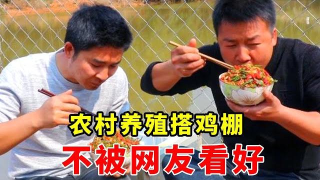小伙擴大養殖,搭建120平方的大雞棚,被網友不看好說是雞瘟院【石頭秀】 小伙擴大養殖,搭建120平方的大雞棚,被網友不看好說是雞瘟院【石頭秀】