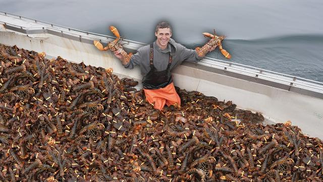 How much i made after catching over 4,000 lobsters How much i made after catching over 4,000 lobsters