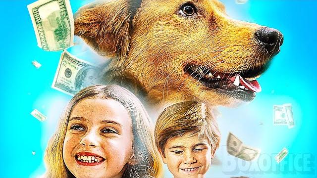 Furry fortune | family movie | full movie in english Furry fortune | family movie | full movie in english