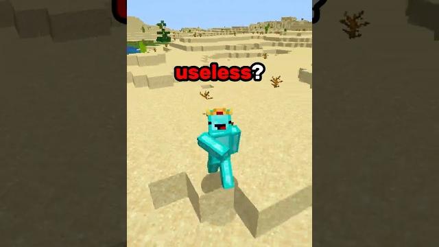 Minecraft's most useless farm?! Minecraft's most useless farm?!